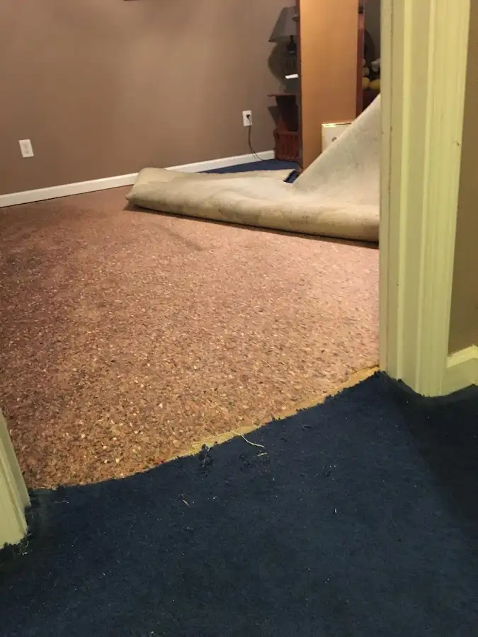 Carpet pad removal revealing water damage during Water Mitigation Services in Amsterdam