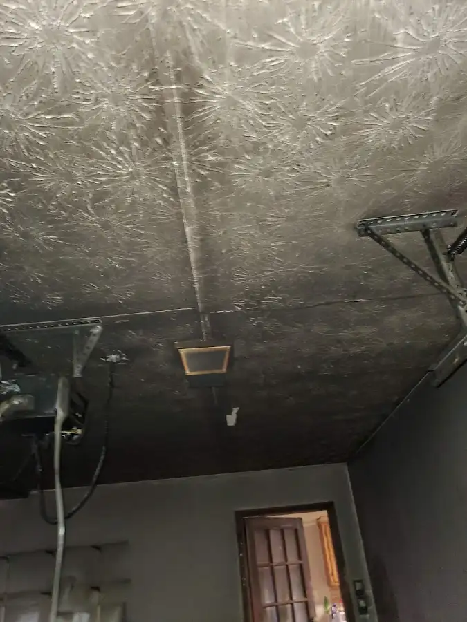 Fire and smoke damage assessment for Water Damage Assessment in Amsterdam